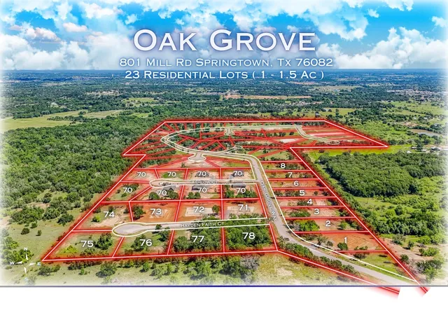 Homes for sale in Springtown, TX | 324 Jonny Boy Wy, Springtown, TX 76082 | MLS# 21209788