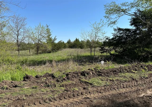Homes for sale in Honey Grove, TX | Tract 12 County Road 2951, Honey Grove, TX 75446 | MLS# 21209958