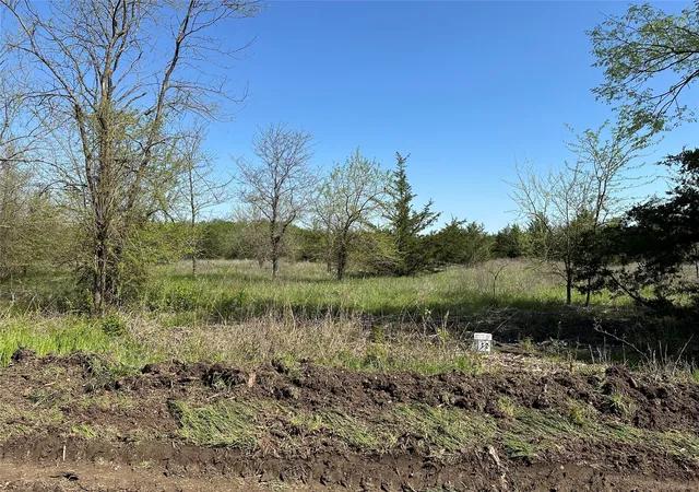 Homes for sale in Honey Grove, TX | Tract 12 County Road 2951, Honey Grove, TX 75446 | MLS# 21209958