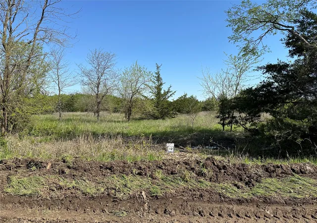 Homes for sale in Honey Grove, TX | Tract 12 County Road 2951, Honey Grove, TX 75446 | MLS# 21209958