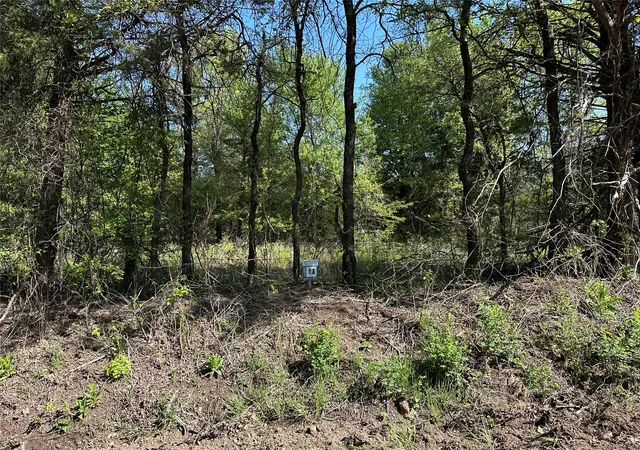 Homes for sale in Honey Grove, TX | Tract 13 County Road 2951, Honey Grove, TX 75446 | MLS# 21210007