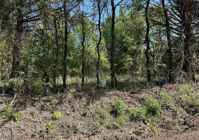 Homes for sale in Honey Grove, TX | Tract 13 County Road 2951, Honey Grove, TX 75446 | MLS# 21210007