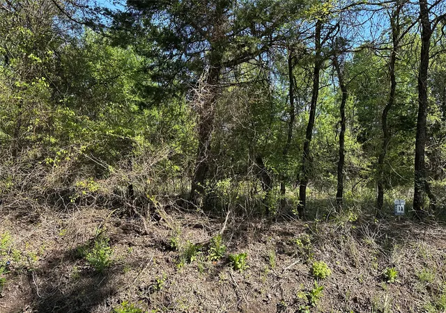 Homes for sale in Honey Grove, TX | Tract 13 County Road 2951, Honey Grove, TX 75446 | MLS# 21210007