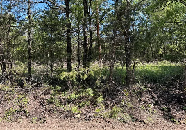 Homes for sale in Honey Grove, TX | Tract 14 County Road 2951, Honey Grove, TX 75446 | MLS# 21210036