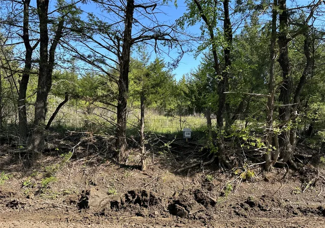 Homes for sale in Honey Grove, TX | Tract 14 County Road 2951, Honey Grove, TX 75446 | MLS# 21210036