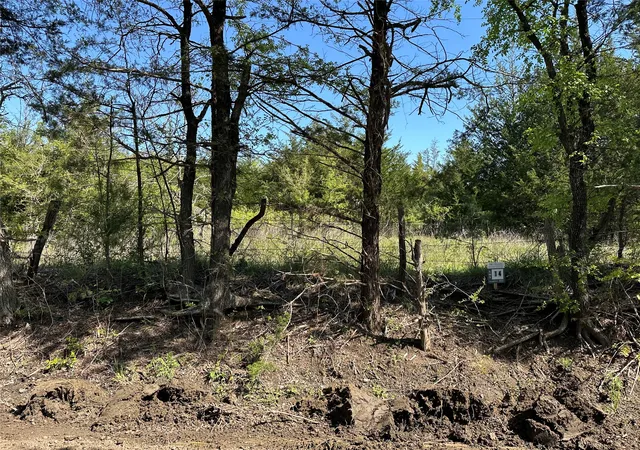 Homes for sale in Honey Grove, TX | Tract 14 County Road 2951, Honey Grove, TX 75446 | MLS# 21210036