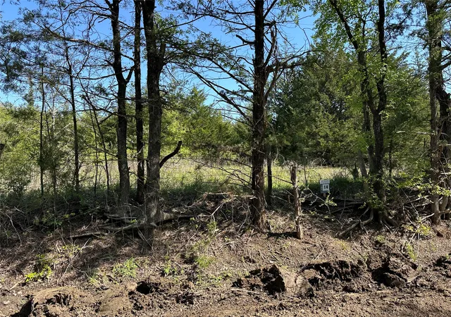 Homes for sale in Honey Grove, TX | Tract 14 County Road 2951, Honey Grove, TX 75446 | MLS# 21210036