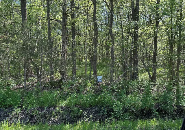 Homes for sale in Honey Grove, TX | Tract 16 County Road 2960, Honey Grove, TX 75446 | MLS# 21210059