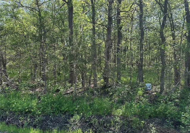 Homes for sale in Honey Grove, TX | Tract 16 County Road 2960, Honey Grove, TX 75446 | MLS# 21210059