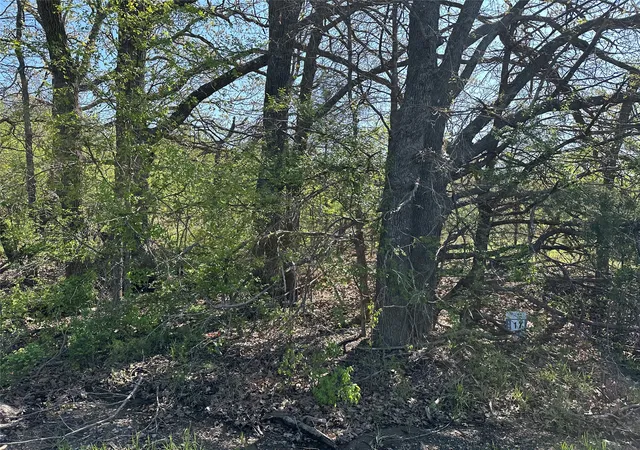 Homes for sale in Honey Grove, TX | Tract 17 County Road 2960, Honey Grove, TX 75446 | MLS# 21210077
