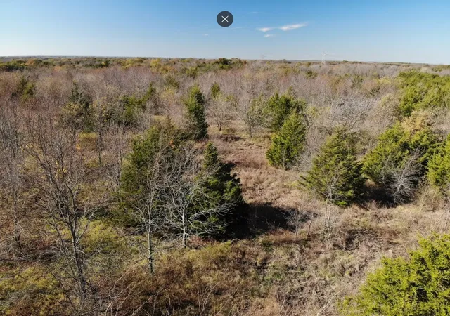 Homes for sale in Honey Grove, TX | Tract 17 County Road 2960, Honey Grove, TX 75446 | MLS# 21210077