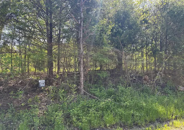 Homes for sale in Honey Grove, TX | Tract 18 County Road 2960, Honey Grove, TX 75446 | MLS# 21210099