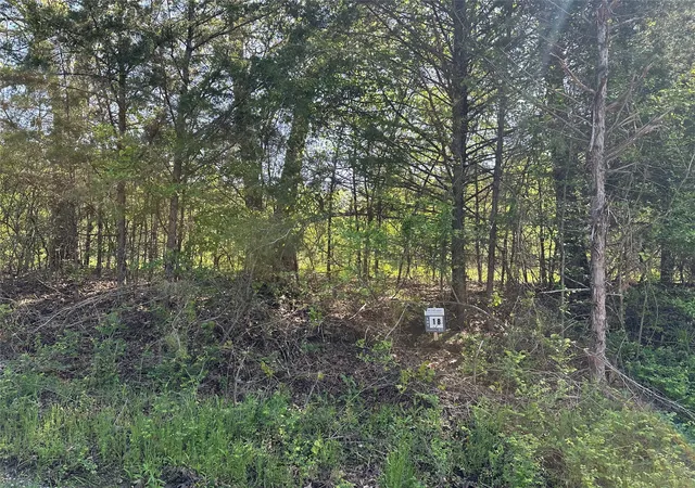 Homes for sale in Honey Grove, TX | Tract 18 County Road 2960, Honey Grove, TX 75446 | MLS# 21210099