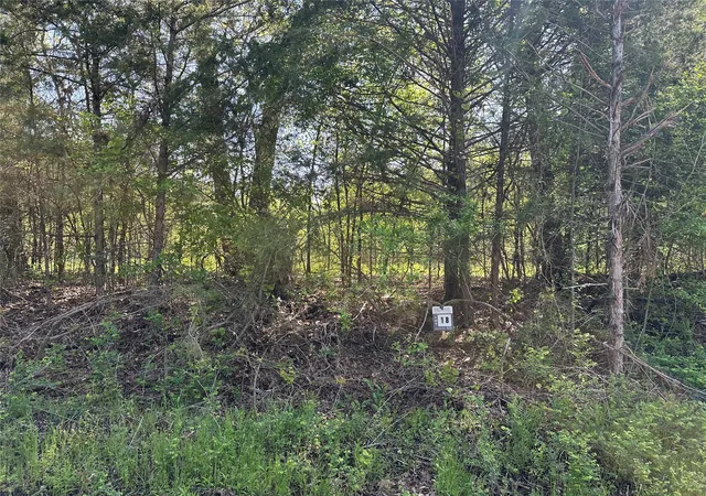 Homes for sale in Honey Grove, TX | Tract 18 County Road 2960, Honey Grove, TX 75446 | MLS# 21210099