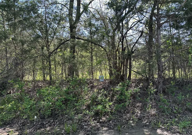 Homes for sale in Honey Grove, TX | Tract 19 County Road 2960, Honey Grove, TX 75446 | MLS# 21210122