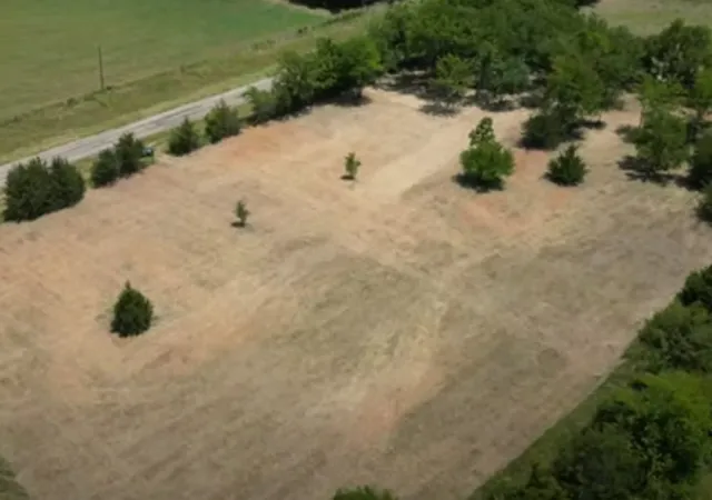 Homes for sale in Honey Grove, TX | Tract 19 County Road 2960, Honey Grove, TX 75446 | MLS# 21210122