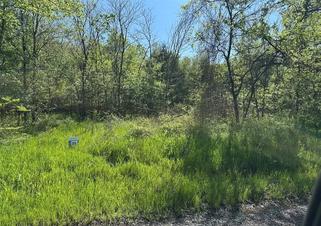 Homes for sale in Honey Grove, TX | Tract 20 County Road 2960, Honey Grove, TX 75446 | MLS# 21210152