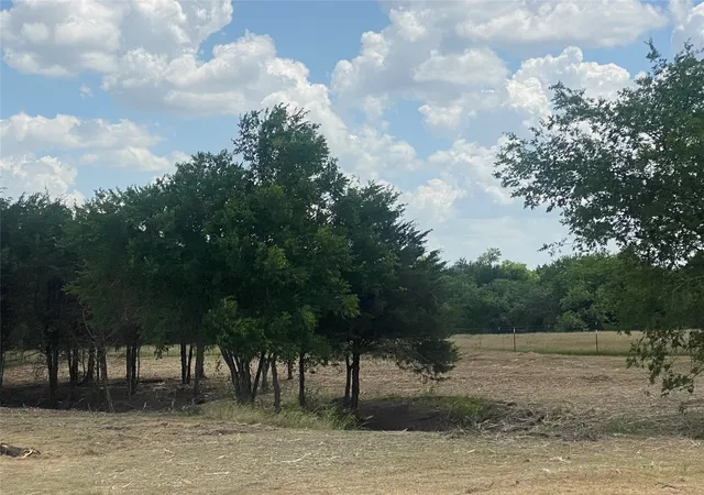 Photo 2 of Land for sale at 0 Tract 2 Lyman T Davis, Corsicana, TX 75110 | MLS# 21210426 | Listing updated on 2026-08-20