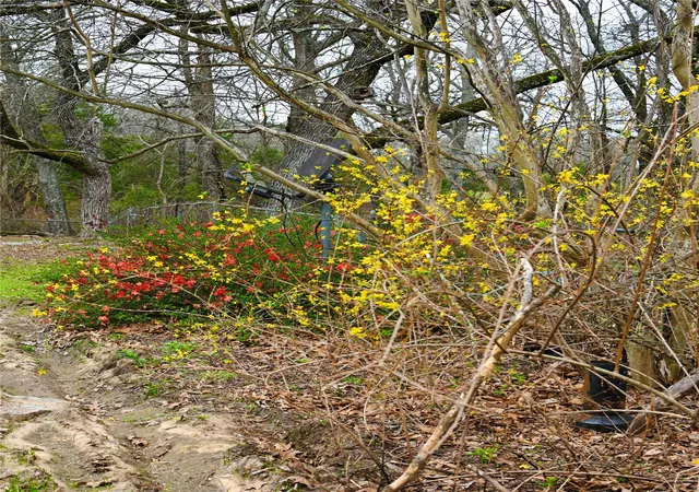 Photo 4 of Single family home for sale at 2211 Fm 2029, Telephone, TX 75488 | MLS# 21210545 | Listing updated on 2026-07-28