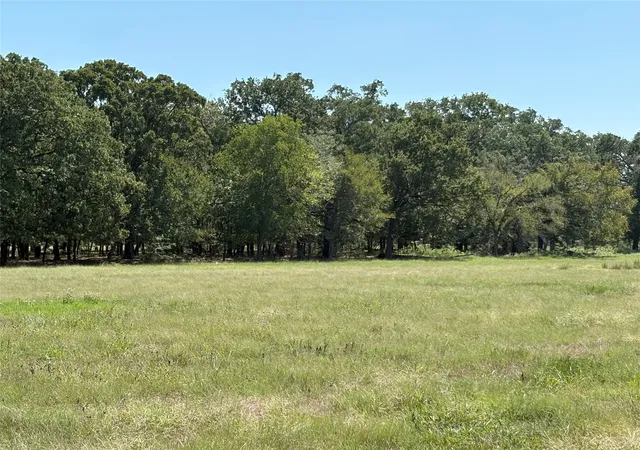 Homes for sale in Brashear, TX | Tbd County Road 1168 #3, Brashear, TX 75420 | MLS# 21209462