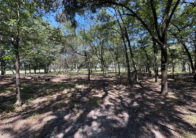 Homes for sale in Brashear, TX | Tbd County Road 1168 #3, Brashear, TX 75420 | MLS# 21209462