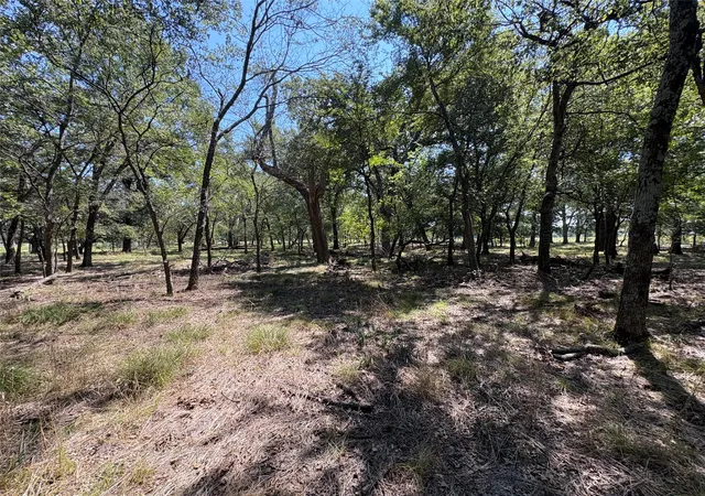 Homes for sale in Brashear, TX | Tbd County Road 1168 #3, Brashear, TX 75420 | MLS# 21209462