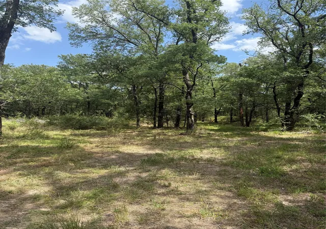 Photo 1 of Land for sale at 1741 Elm Lake Rd, Riesel, TX 76682 | MLS# 21210345 | Listing updated on 2026-08-25