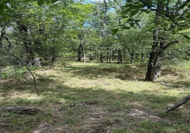 Photo 3 of Land for sale at 1741 Elm Lake Rd, Riesel, TX 76682 | MLS# 21210345 | Listing updated on 2026-08-25