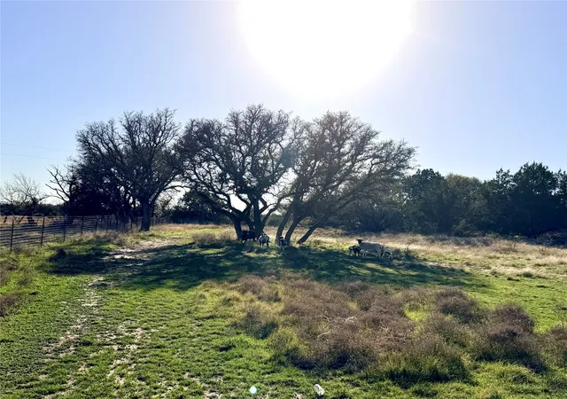 Homes for sale in Goldthwaite, TX | 65 County Road 406, Goldthwaite, TX 76844 | MLS# 21211101