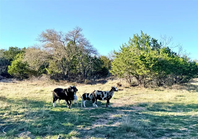 Homes for sale in Goldthwaite, TX | 65 County Road 406, Goldthwaite, TX 76844 | MLS# 21211101