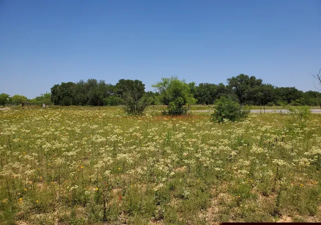 Homes for sale in Gorman, TX | 19069 Hwy 6, Gorman, TX 76454 | MLS# 21211503