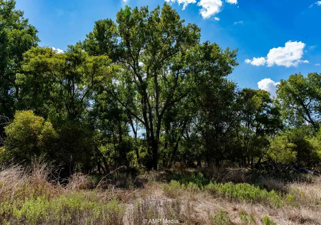 Homes for sale in Rule, TX | 4538 463, Rule, TX 79547 | MLS# 21210895
