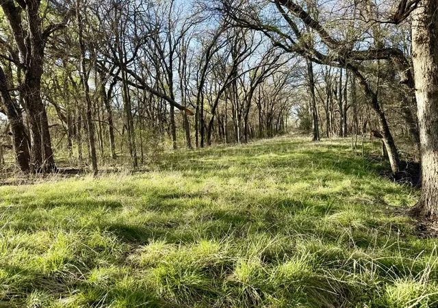 1st image of Tbd 2002 Acres Cr 328, Dublin, TX 76446 | MLS# 21212141