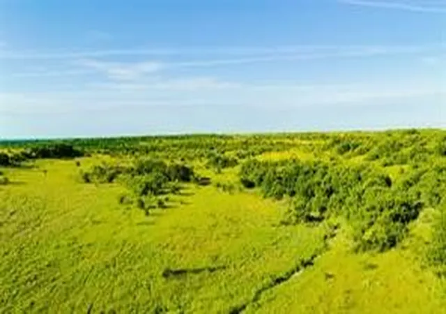 Homes for sale in Oplin, TX | Tbd Cr 247, Oplin, TX 79510 | MLS# 21212262