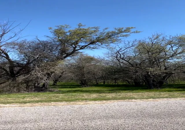 Homes for sale in Runaway Bay, TX | Tbd Port O Call Dr, Runaway Bay, TX 76426 | MLS# 21212088