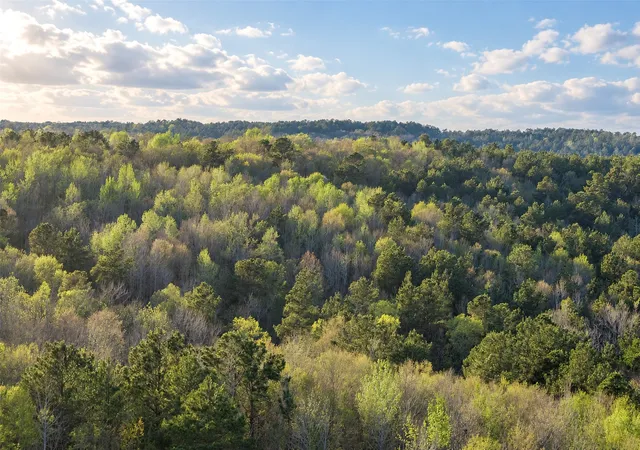 Photo 1 of Land for sale at 0 Farm To Market Road 747, Jacksonville, TX 75766 | MLS# 21213336 | Listing updated on 2026-09-21