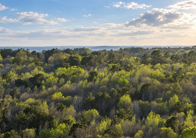 Photo 2 of Land for sale at 0 Farm To Market Road 747, Jacksonville, TX 75766 | MLS# 21213336 | Listing updated on 2026-09-21
