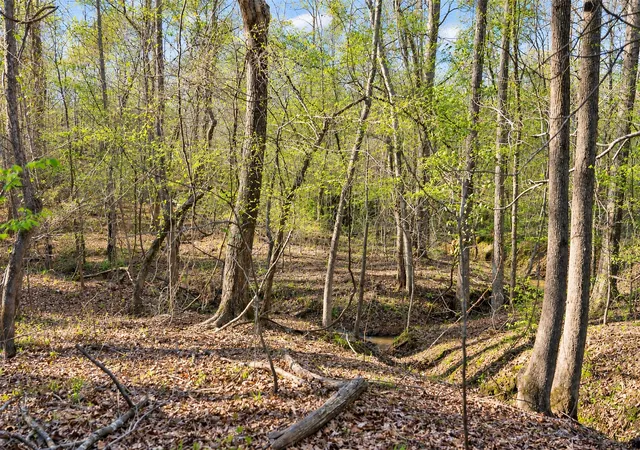 Photo 3 of Land for sale at 0 Farm To Market Road 747, Jacksonville, TX 75766 | MLS# 21213336 | Listing updated on 2026-09-21