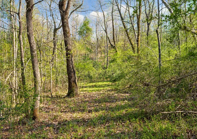 Photo 3 of Land for sale at 0 Farm To Market Road 747, Jacksonville, TX 75766 | MLS# 21213336 | Listing updated on 2026-09-21