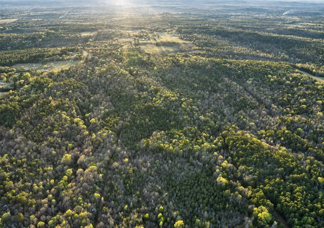 Photo 4 of Land for sale at 0 Farm To Market Road 747, Jacksonville, TX 75766 | MLS# 21213336 | Listing updated on 2026-09-21