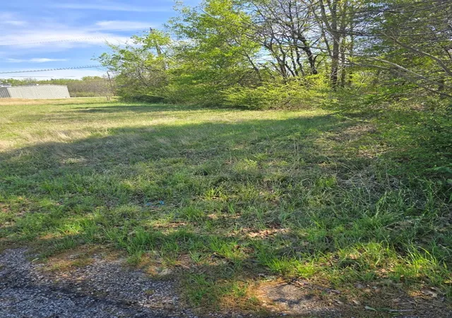 Photo 3 of Land for sale at Lot 39 Loon Bay Dr, Gun Barrel City, TX 75156 | MLS# 21213406 | Listing updated on 2026-08-18
