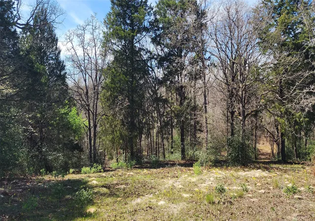 Photo 1 of Land for sale at 14612 County Road 1114, Athens, TX 75751 | MLS# 21213531 | Listing updated on 2026-09-28