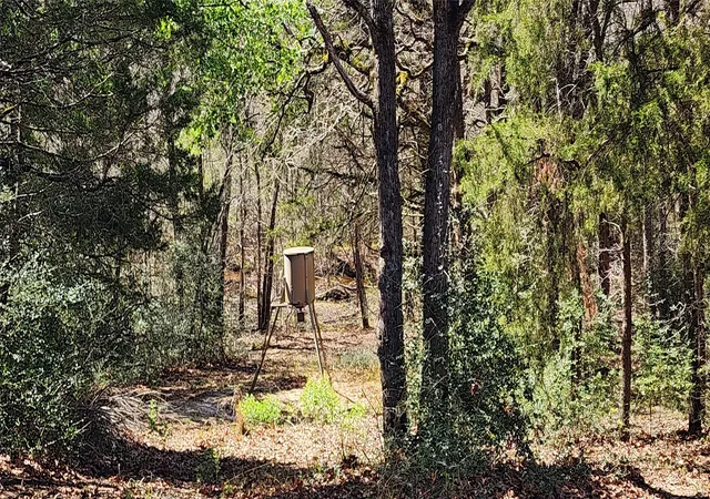 Photo 2 of Land for sale at 14612 County Road 1114, Athens, TX 75751 | MLS# 21213531 | Listing updated on 2026-09-28