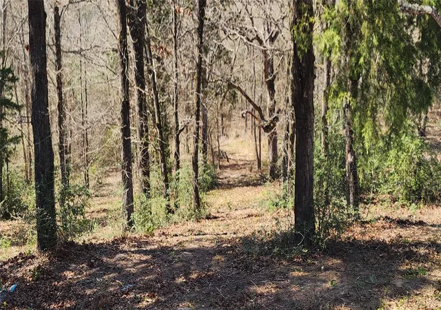 Photo 3 of Land for sale at 14612 County Road 1114, Athens, TX 75751 | MLS# 21213531 | Listing updated on 2026-09-28
