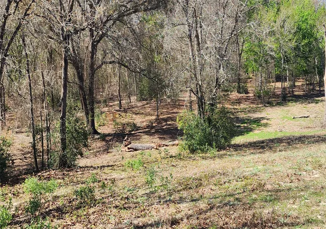 Photo 4 of Land for sale at 14612 County Road 1114, Athens, TX 75751 | MLS# 21213531 | Listing updated on 2026-09-28