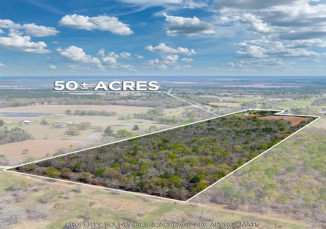 Homes for sale in Bagwell, TX | 48 County Road 2360, Bagwell, TX 75412 | MLS# 21213873