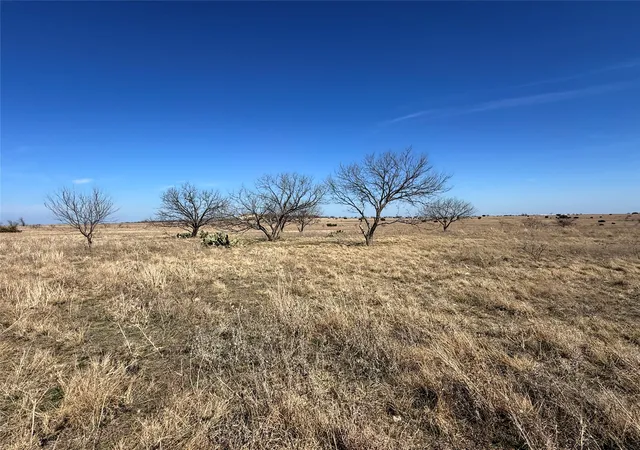 Homes for sale in Hamilton, TX | Tbd4 Cr 620, Hamilton, TX 76531 | MLS# 21214214