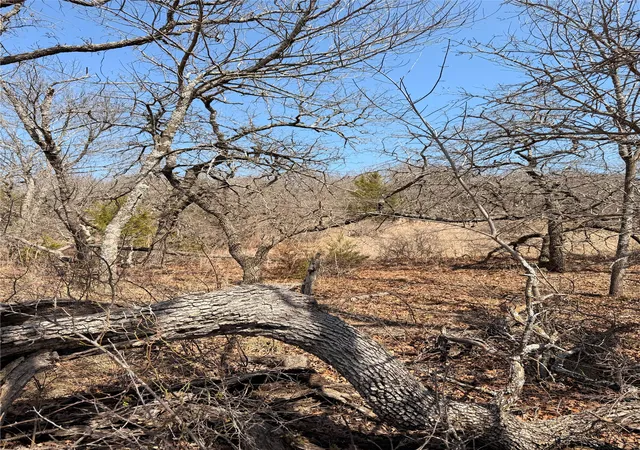 Photo 3 of Land for sale at 0 Silverleaf Dr, Sunset, TX 76270 | MLS# 21214758 | Listing updated on 2026-07-08