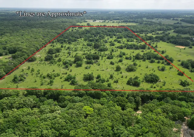 Homes for sale in Honey Grove, TX | Tbd County Road 2415, Honey Grove, TX 75446 | MLS# 21214664