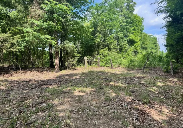 Homes for sale in Honey Grove, TX | Tbd County Road 2415, Honey Grove, TX 75446 | MLS# 21214664